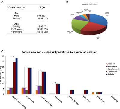 Characterization of KPC-Producing Serratia marcescens in an Intensive Care Unit of a Brazilian Tertiary Hospital